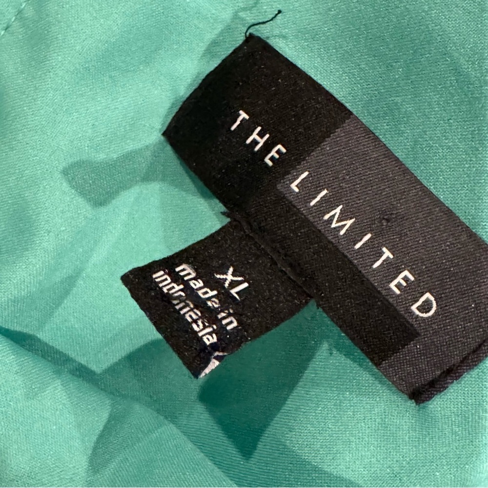 The Limited Mint and White Colorblock Shift Dress - Picture 4 of 6